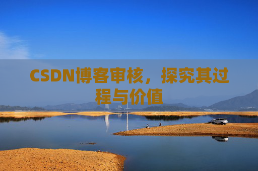 CSDN博客审核,探究其过程与价值